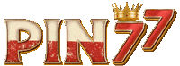 logo PIN77